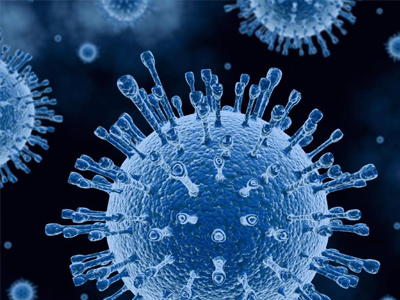 職人が裁縫の作業をしている