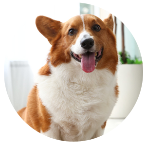 生地の種類が並ぶイメージ